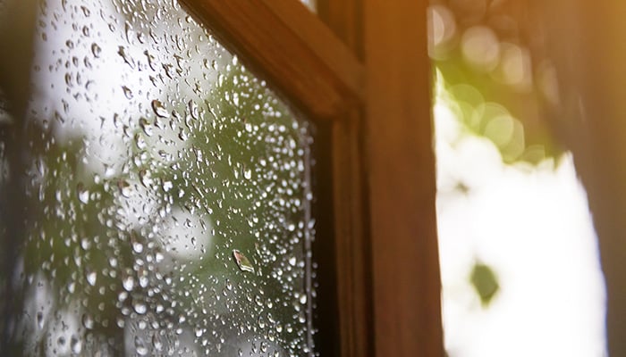 window with rain & humidity